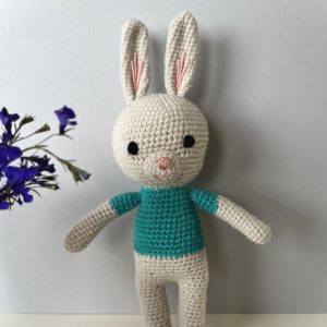 Robert Rabbit