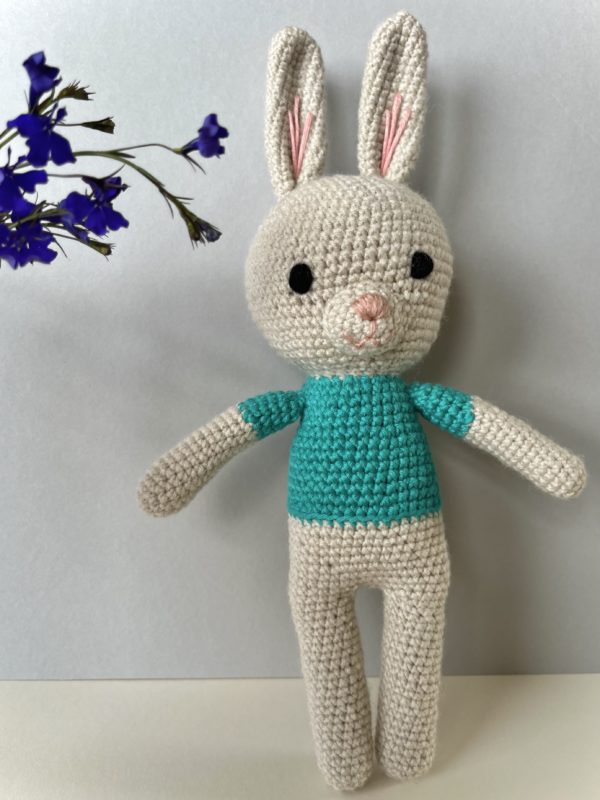 Robert Rabbit - Image 3