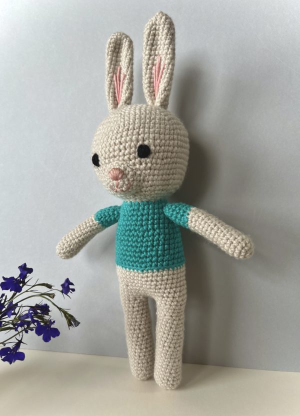 Robert Rabbit - Image 2