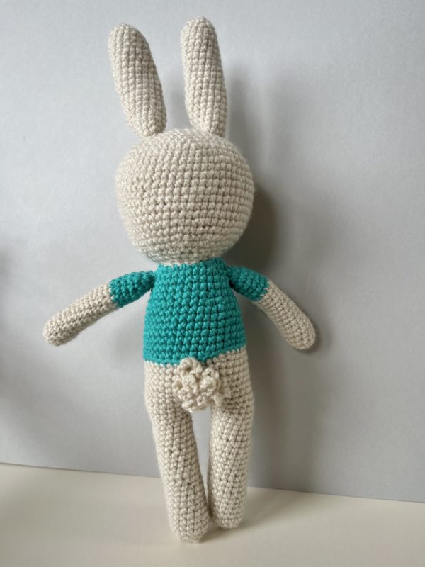 Robert Rabbit - Image 4