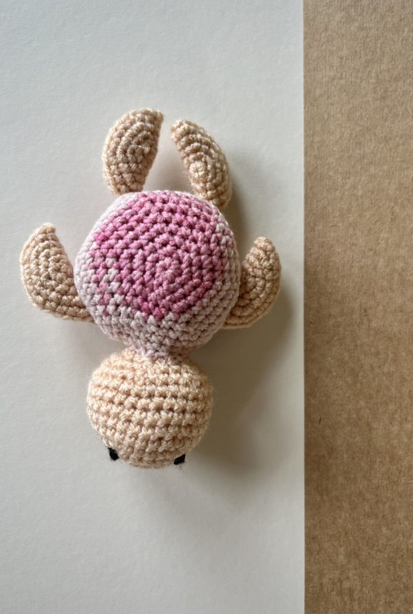 Tess Turtle - Image 4