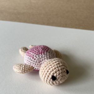 Tess Turtle