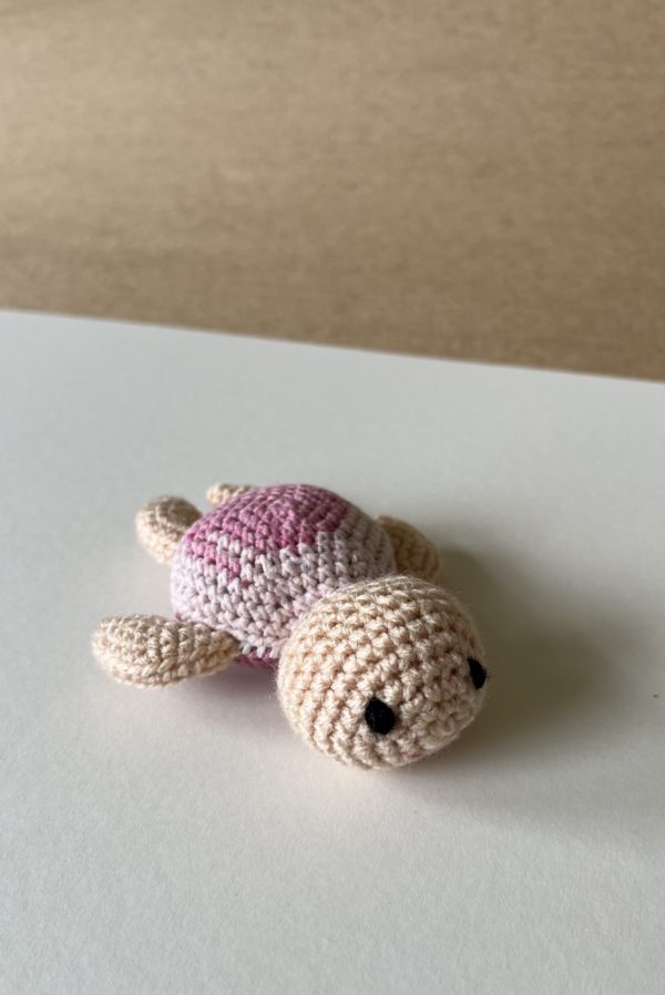 Tess Turtle